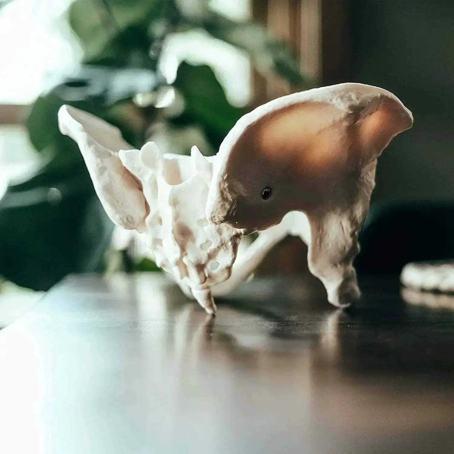 Life Size Female Pelvis Model For Anatomy Education - ToylandEU