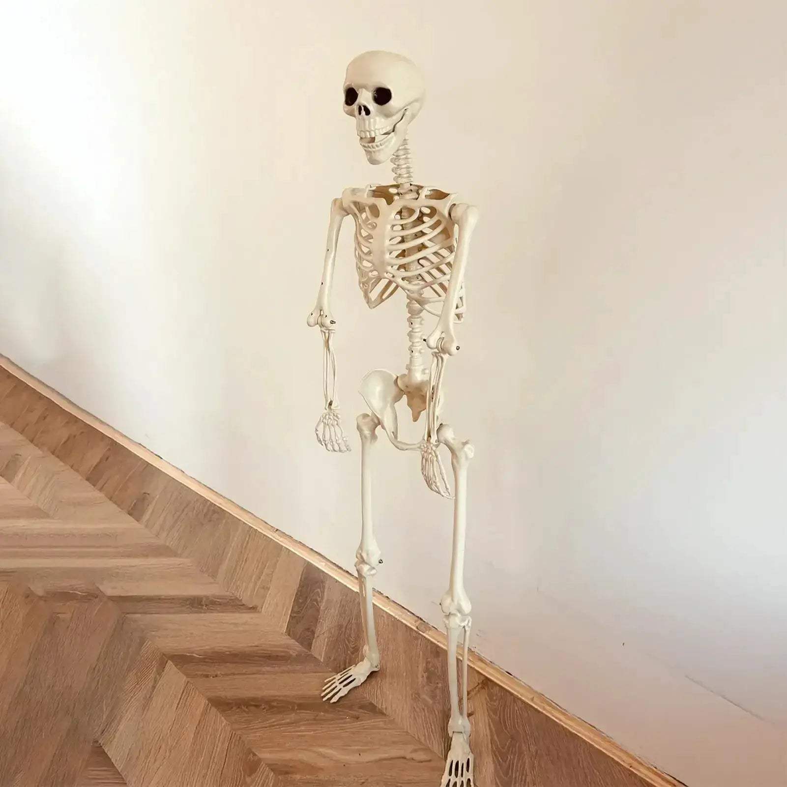 Life Size Halloween Skeleton With Posable Joints Realistic Skull - ToylandEU