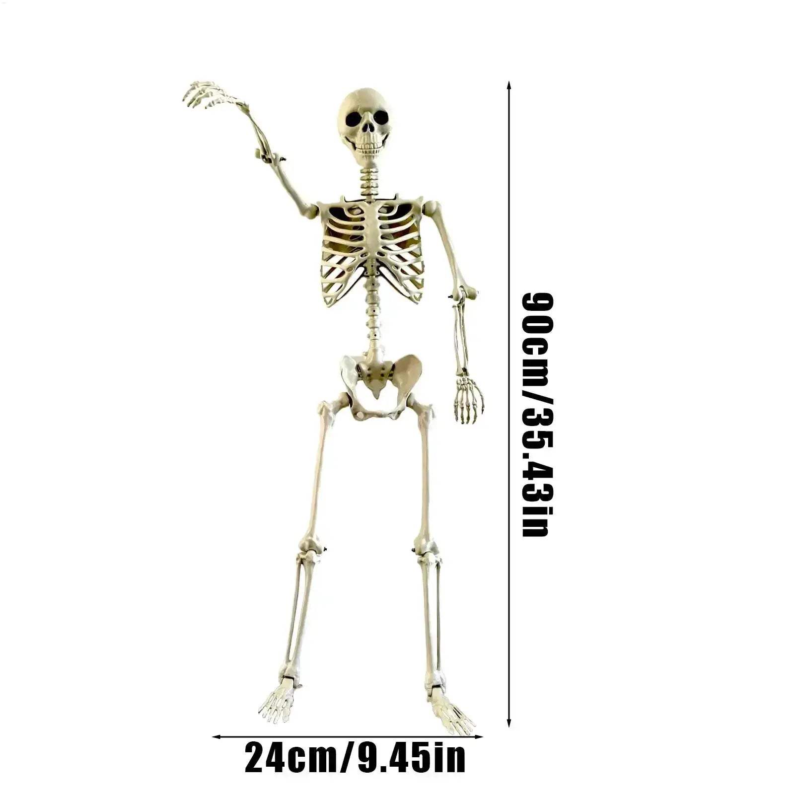 Life Size Halloween Skeleton With Posable Joints Realistic Skull - ToylandEU