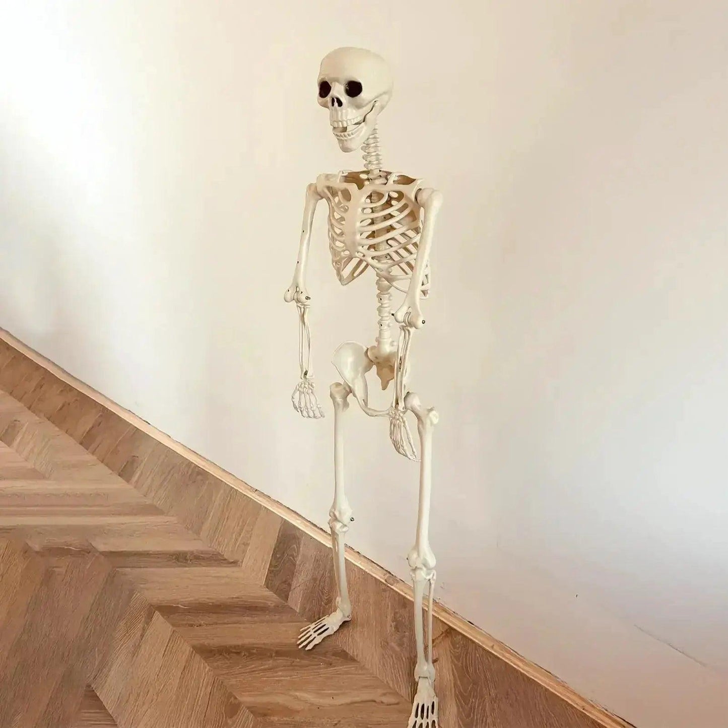  Life Size Realistic Skeleton Movable Joints Outdoor Use -  ToylandEU™