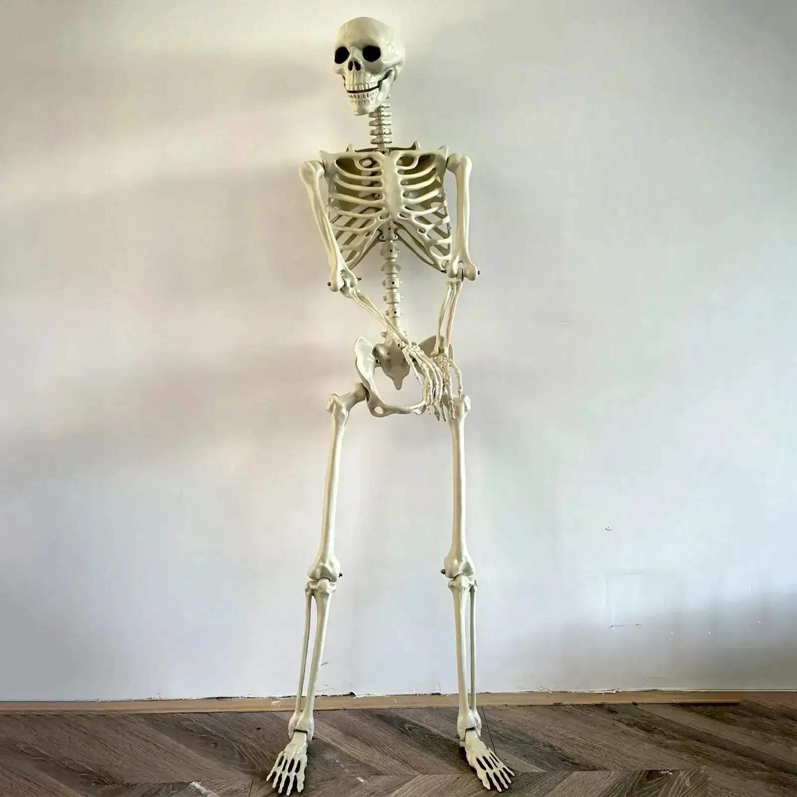 Life Size Realistic Skeleton With Movable Joints For Halloween Decor - ToylandEU
