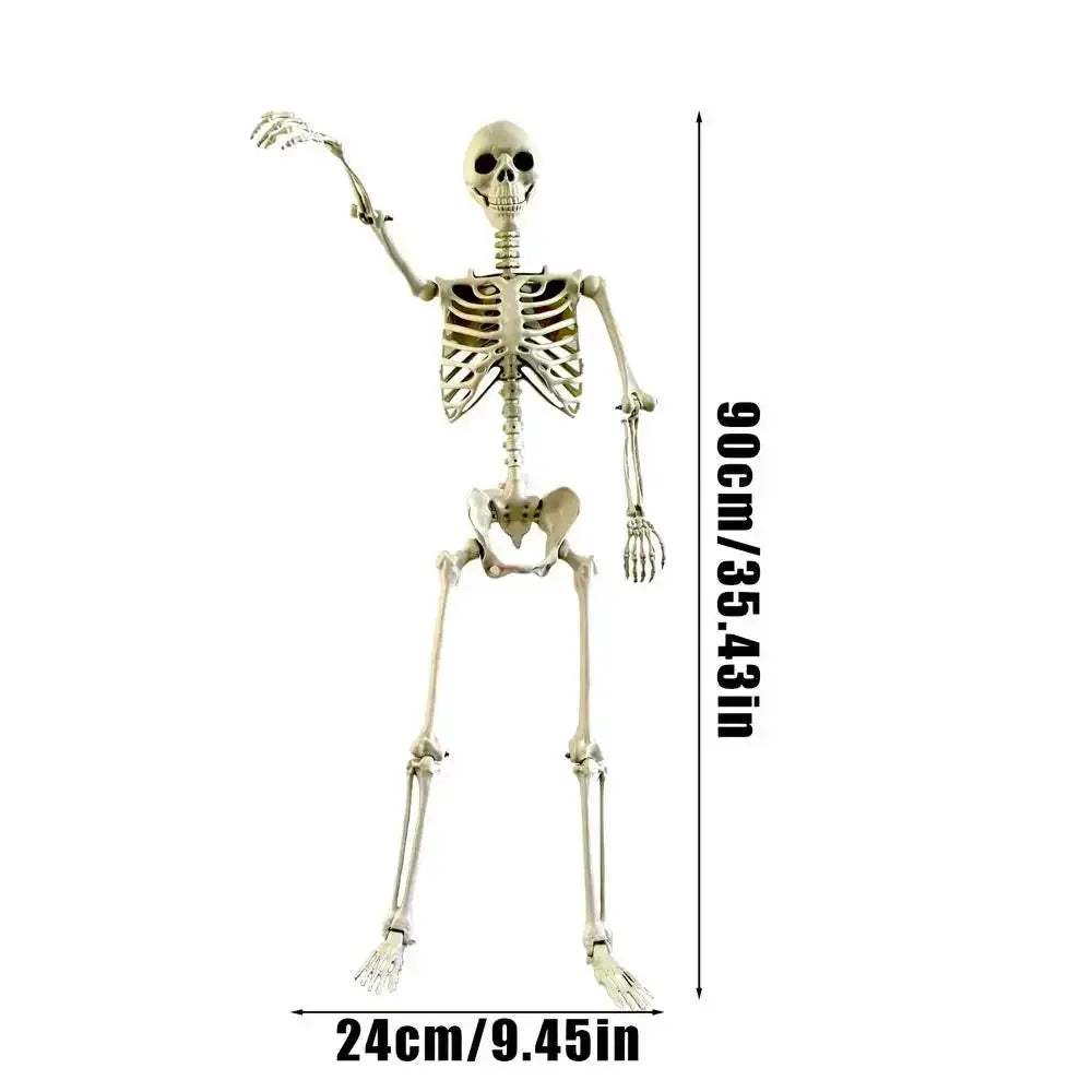 Life Size Realistic Skeleton With Posable Joints Halloween Prop - ToylandEU
