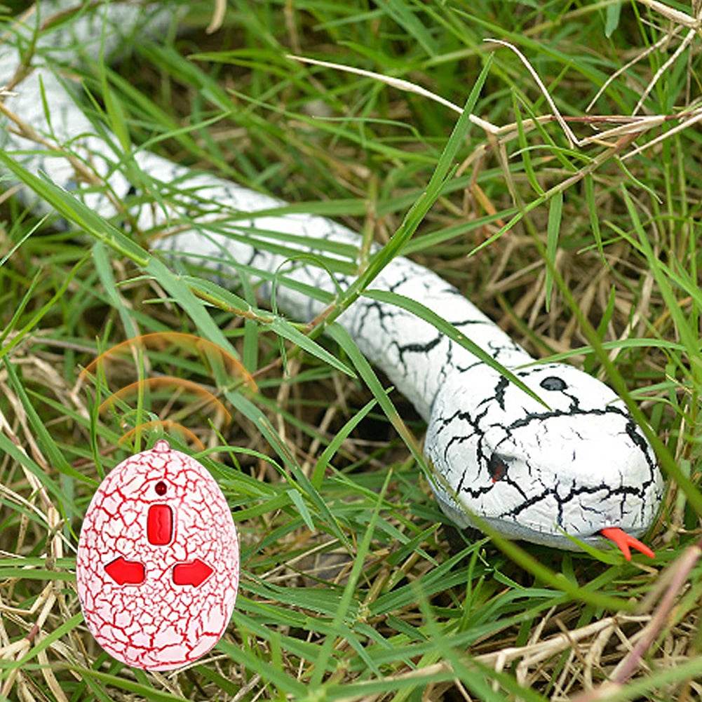 Lifelike RC Snake With Retractable Tongue For Children - ToylandEU