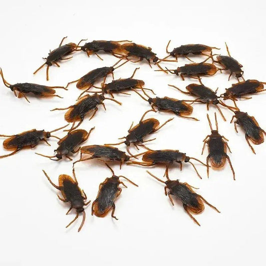  Lifelike Rubber Cockroach Prank Toy No Battery -  ToylandEU™