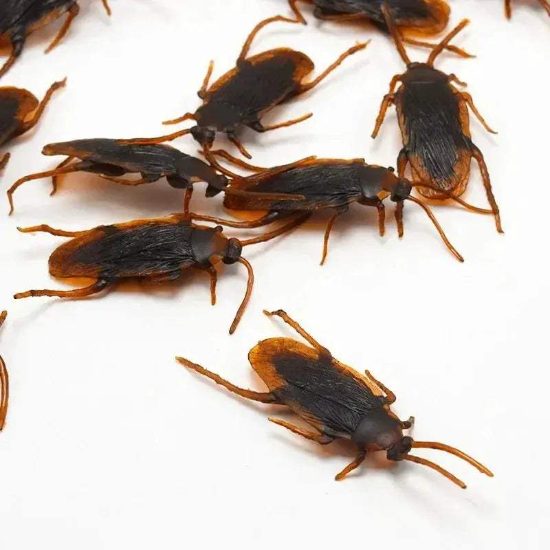 Lifelike Rubber Cockroach Prank Toy for Realistic Shock - ToylandEU