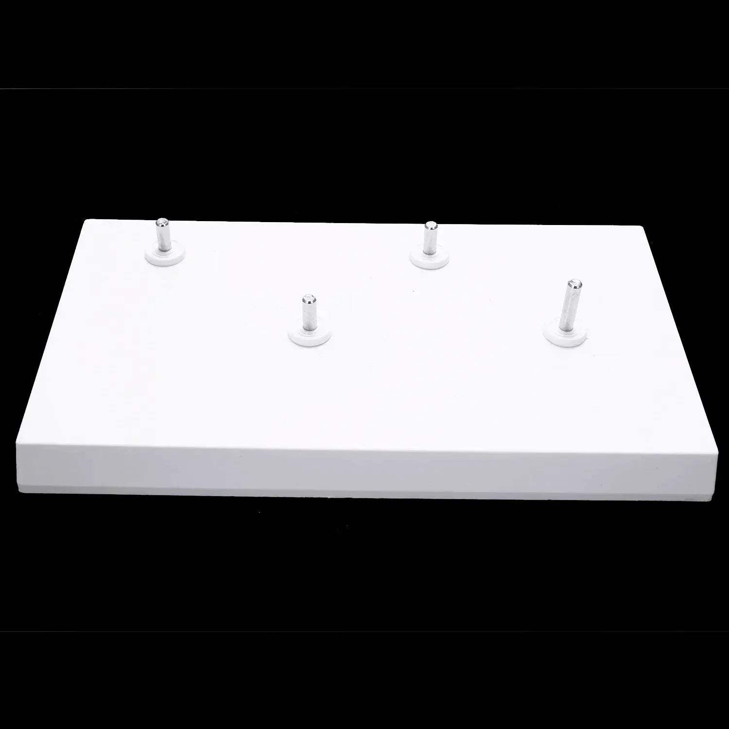 Lumbar Spine Vertebrae Model For Anatomy Education - ToylandEU