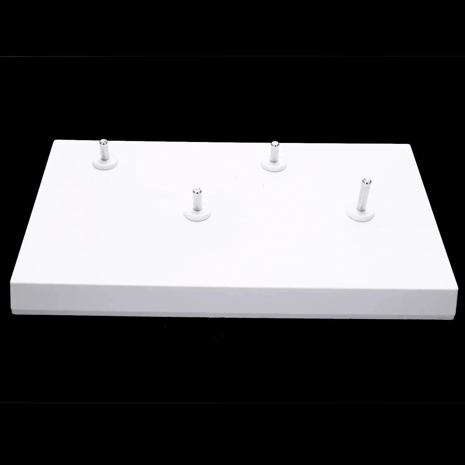  Lumbar Spine Vertebrae Model Two Part Anatomy Education -  ToylandEU™