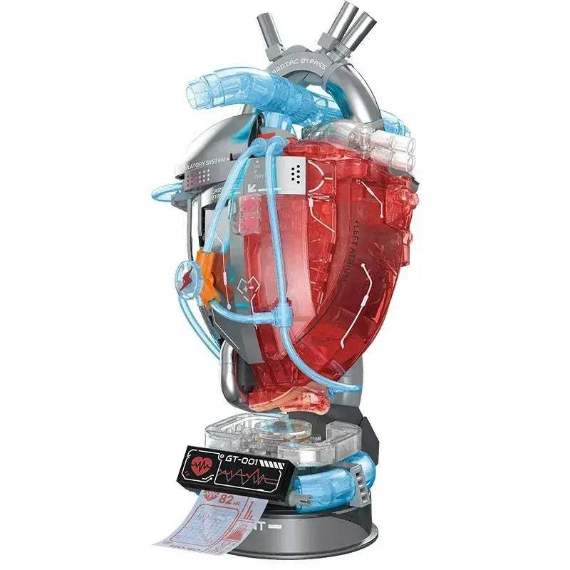 Anatomy Building Blocks Set For Hands On Medical Education - ToylandEU