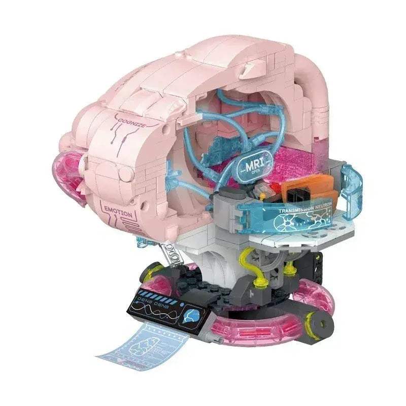 Anatomy Building Blocks Set For Hands On Medical Education - ToylandEU