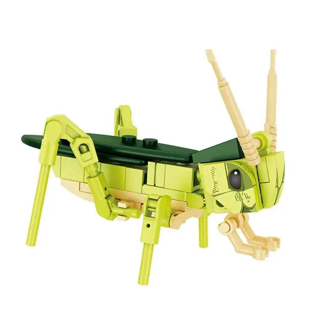 Educational Building Blocks Insect Models Set for Kids - ToylandEU