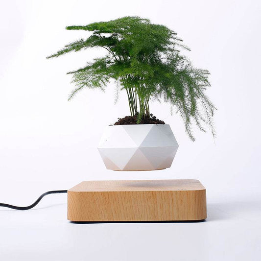 Magnetic Floating Bonsai Pot – Elegant Rotating Planter for Home Decor - ToylandEU