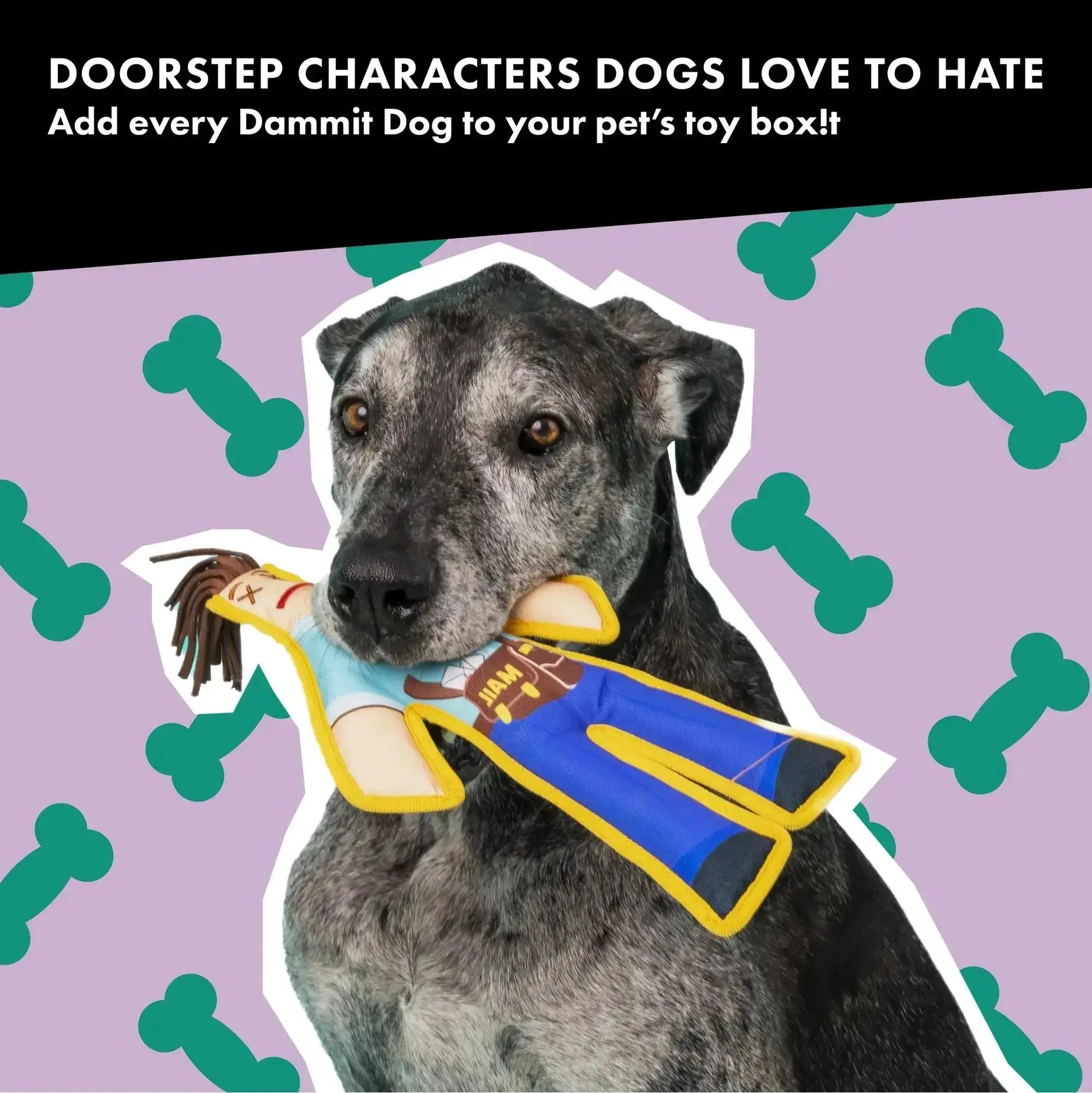 Mailman Squeaky Chew Toy - Dammit Dolls