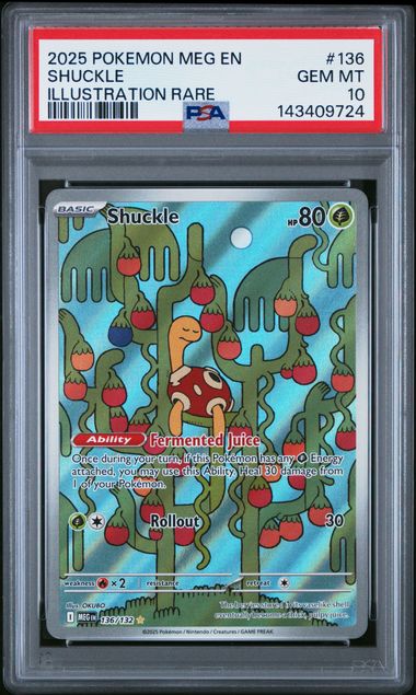Mega Evolution Shuckle | PSA Gem Mint 10 | Toylandeu™