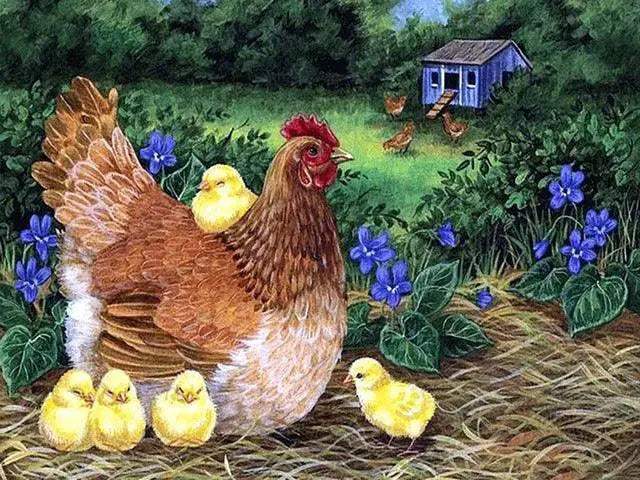 Meian Chicken DIY Cross Stitch Kit 11CT Printed Canvas Embroidery - ToylandEU