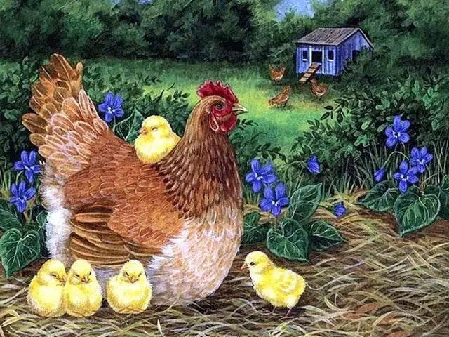  Meian DIY Cross Stitch Chicken Embroidery Kit - 11CT Needlework Craft Set for Home Decoration -  ToylandEU™