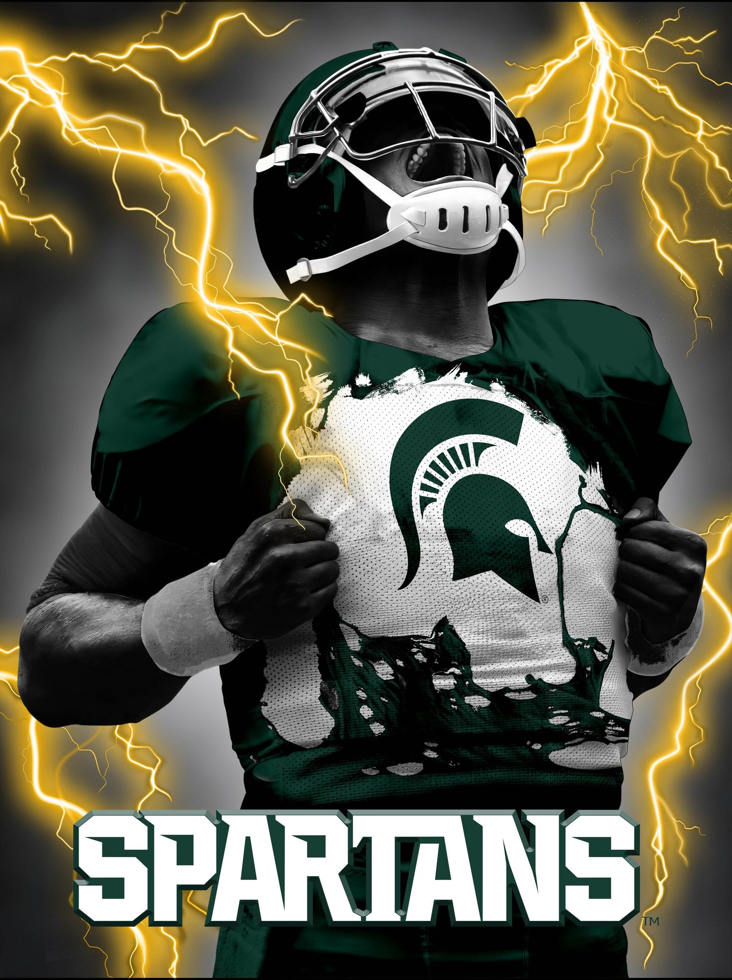Michigan State Spartans 3D Art Print Lenticular 12x16 - ToylandEU