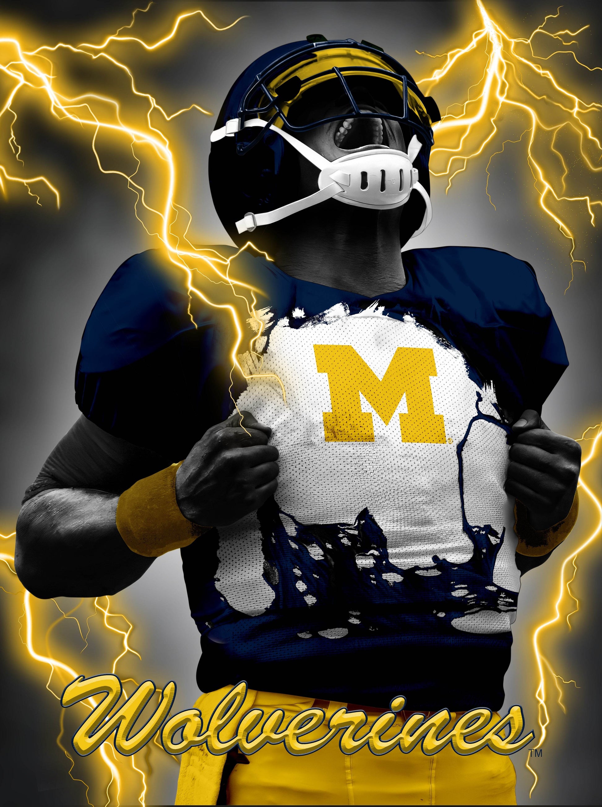 Michigan Wolverines 3D Art Print 12x16 Lenticular Player - ToylandEU