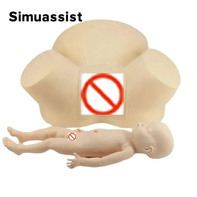  Midwifery Training Model Childbirth Simulator Pelvis -  ToylandEU™