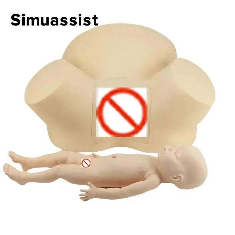 Midwifery Training Model for Childbirth Simulator with Realistic Pelvis - ToylandEU
