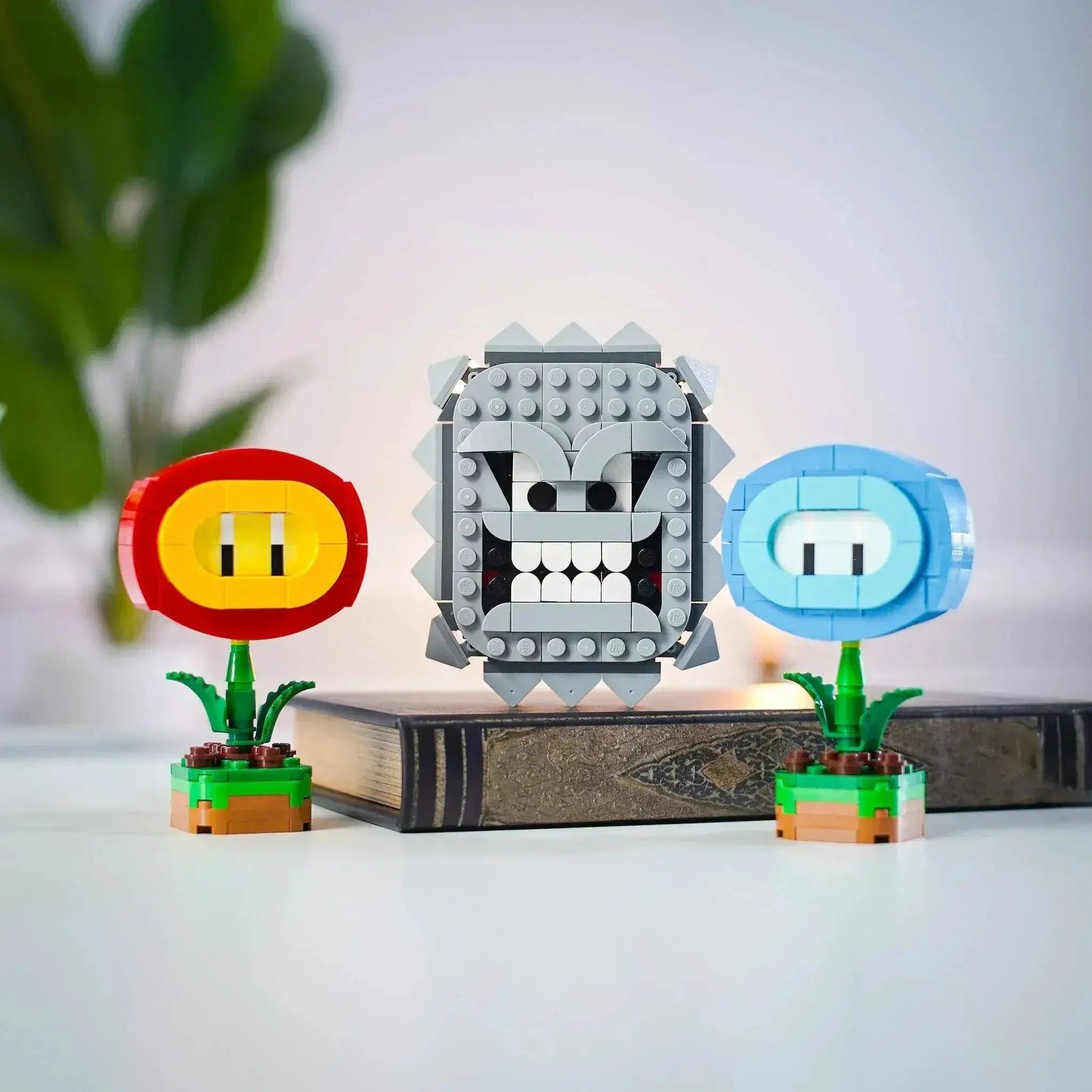 Mini Fire Flower - ToylandEU
