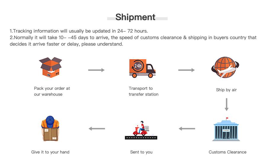 Mini Pelvis Model Human Skeleton Specimen Hip Skeleton Anatomy Medical Tool School Used 1:2 Pubis - ToylandEU