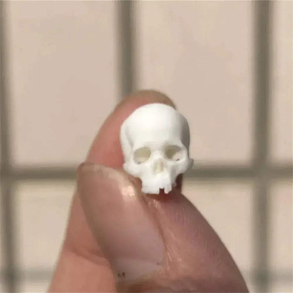  Mini Skull Decor For Halloween Dollhouse Premium -  ToylandEU™