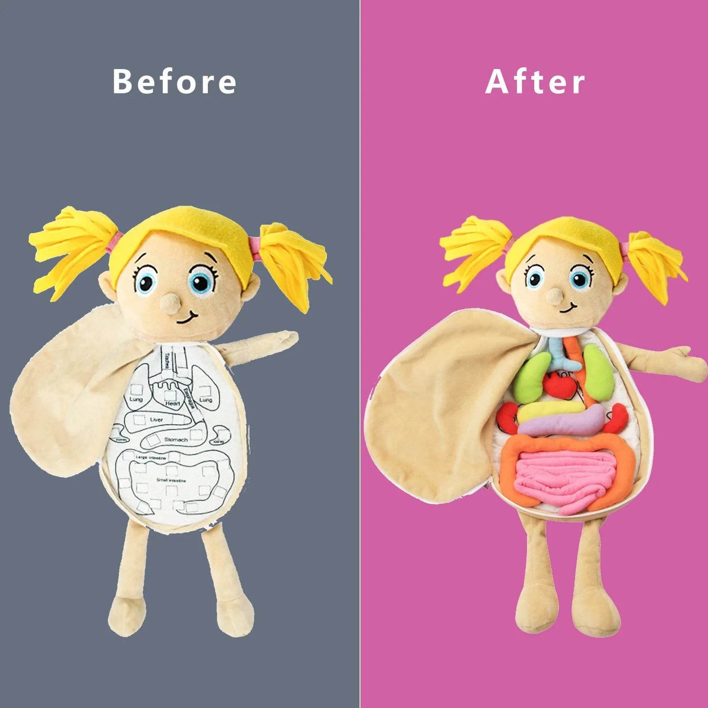 3D Human Anatomy Puzzle for Kids - Montessori Educational Science Toy - ToylandEU