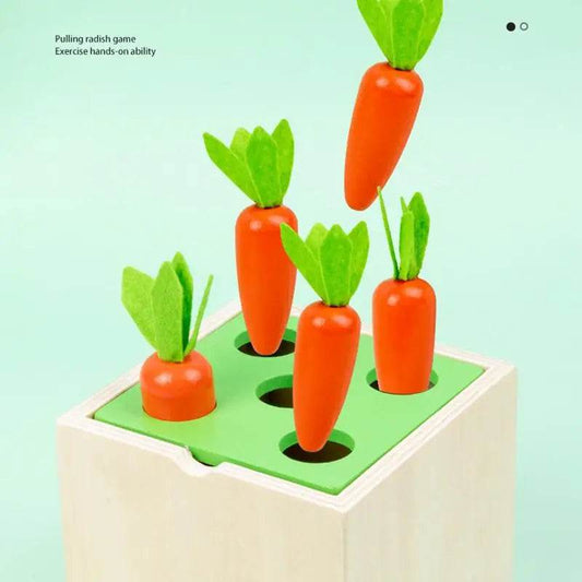 Montessori 5-in-1 Wooden Play Kit: Fun Learning for Toddlers! - ToylandEU