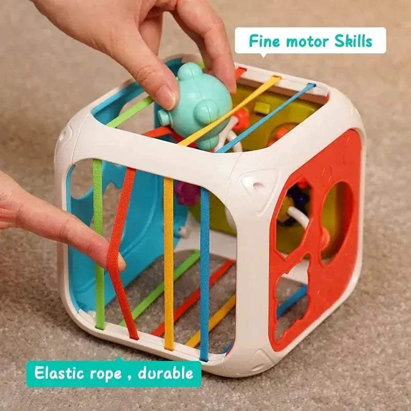 Montessori 7 In 1 Baby Toys Educational Shape Sorter - ToylandEU