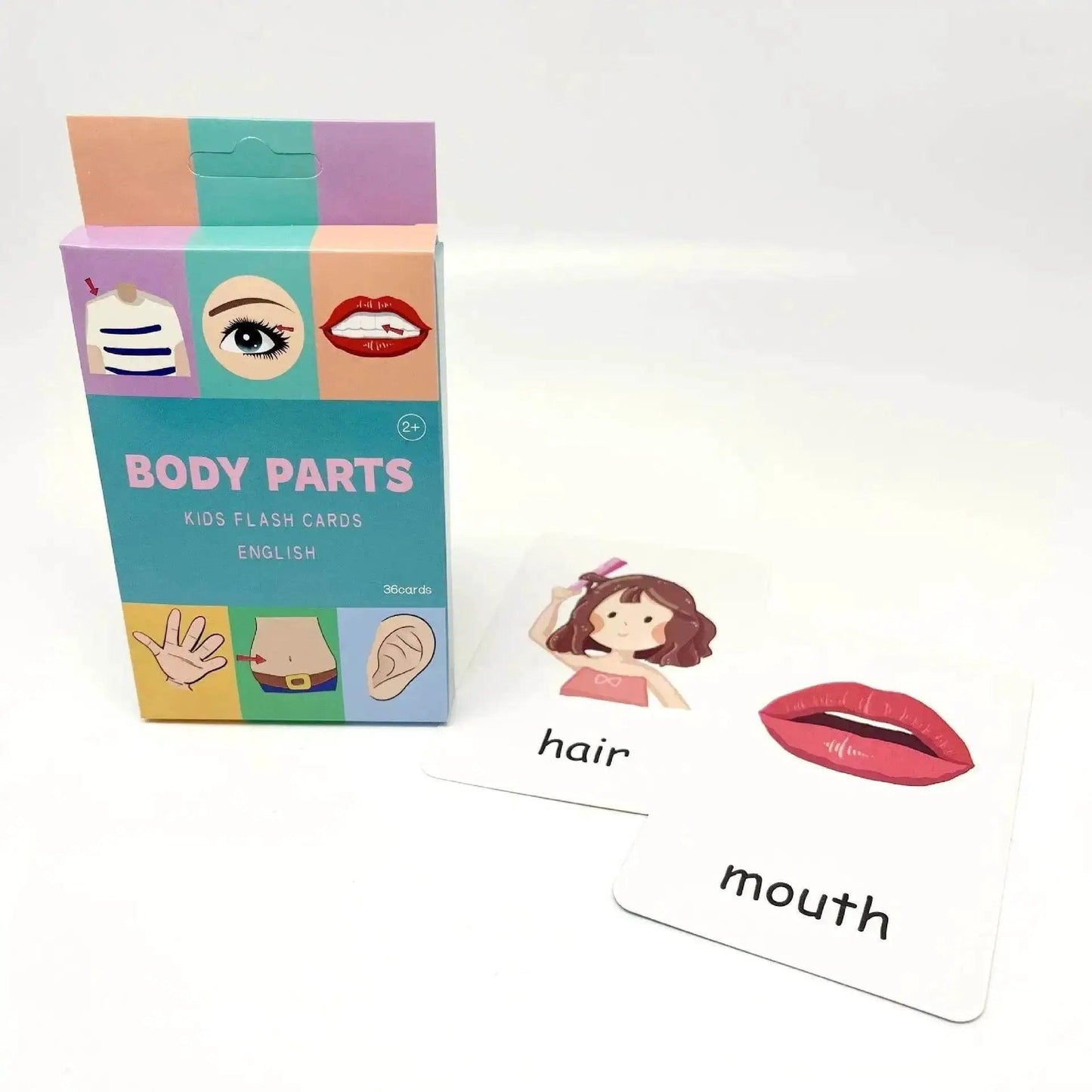  Montessori Alphabet Flashcards For Kids Ages 3 To 14, 36 Cards, 8 Themed Sets For Reading And Writing Skills -  ToylandEU™