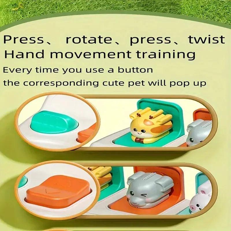  Montessori Animal Toys With Pop Up Boxes Safe For Play -  ToylandEU™