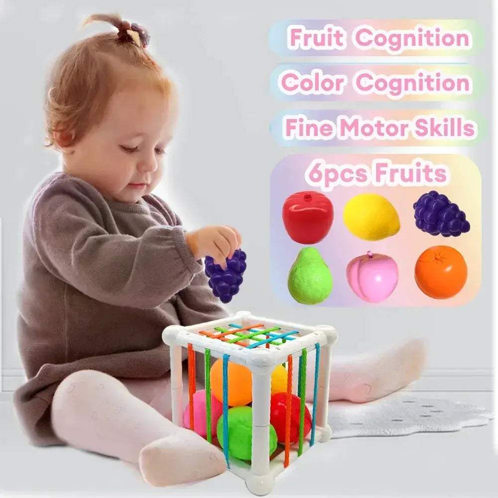 Montessori Baby Toys 18 Months Multisensory Fruit Shapes - ToylandEU