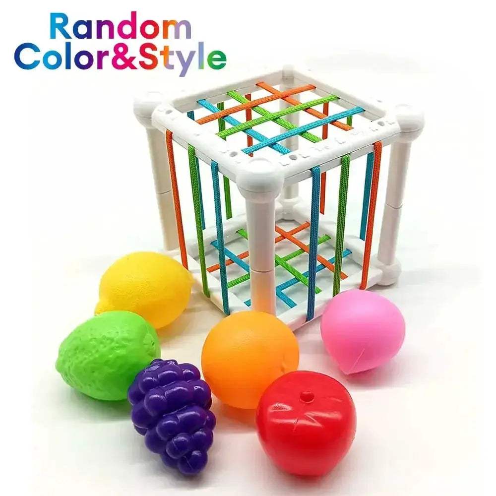 Montessori Baby Toys 18 Months Multisensory Fruit Shapes - ToylandEU