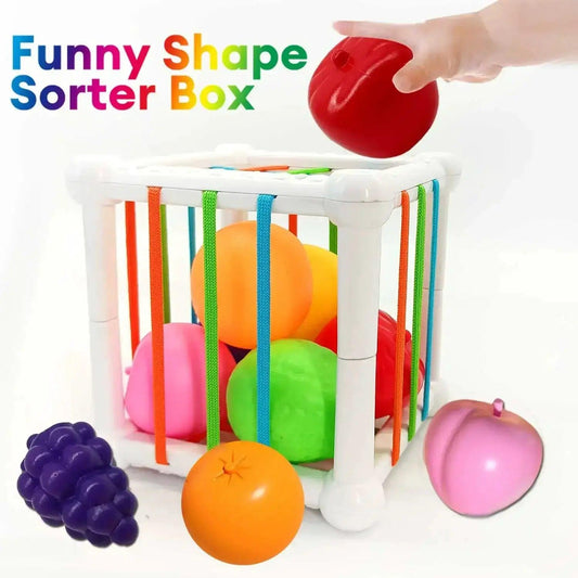  Montessori Baby Toys Multisensory Fruit Shapes Durable -  ToylandEU™