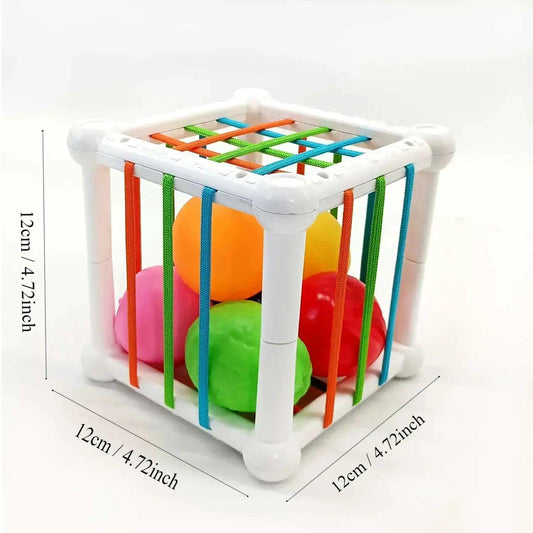  Montessori Baby Toys Multisensory Fruit Shapes Durable -  ToylandEU™