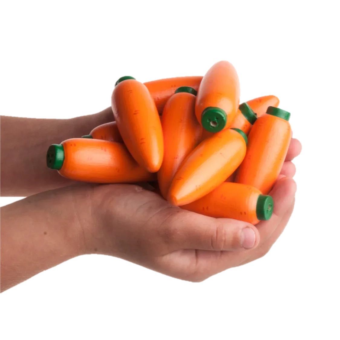 Montessori Carrot Counters Set of 12 for Counting Skills - ToylandEU