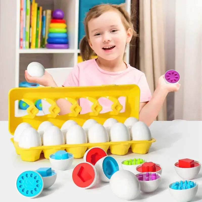 Montessori Educational Egg Shape Sorter Puzzle For Baby Development - ToylandEU