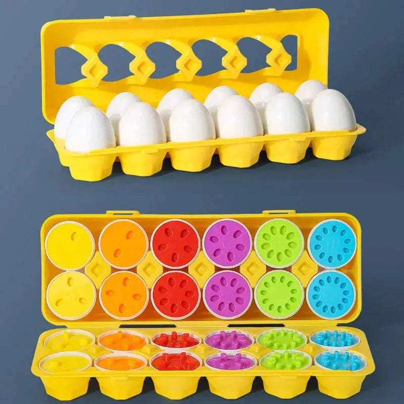 Montessori Educational Egg Shape Sorter Puzzle For Baby Development - ToylandEU