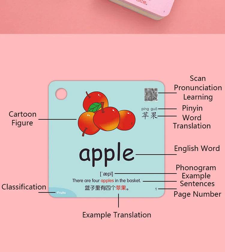 Montessori Educational Flash Cards 600 Cognitive Learning Cards Kids Discover Animal Shapes Colors Fun Toys Gifts Children - ToylandEU