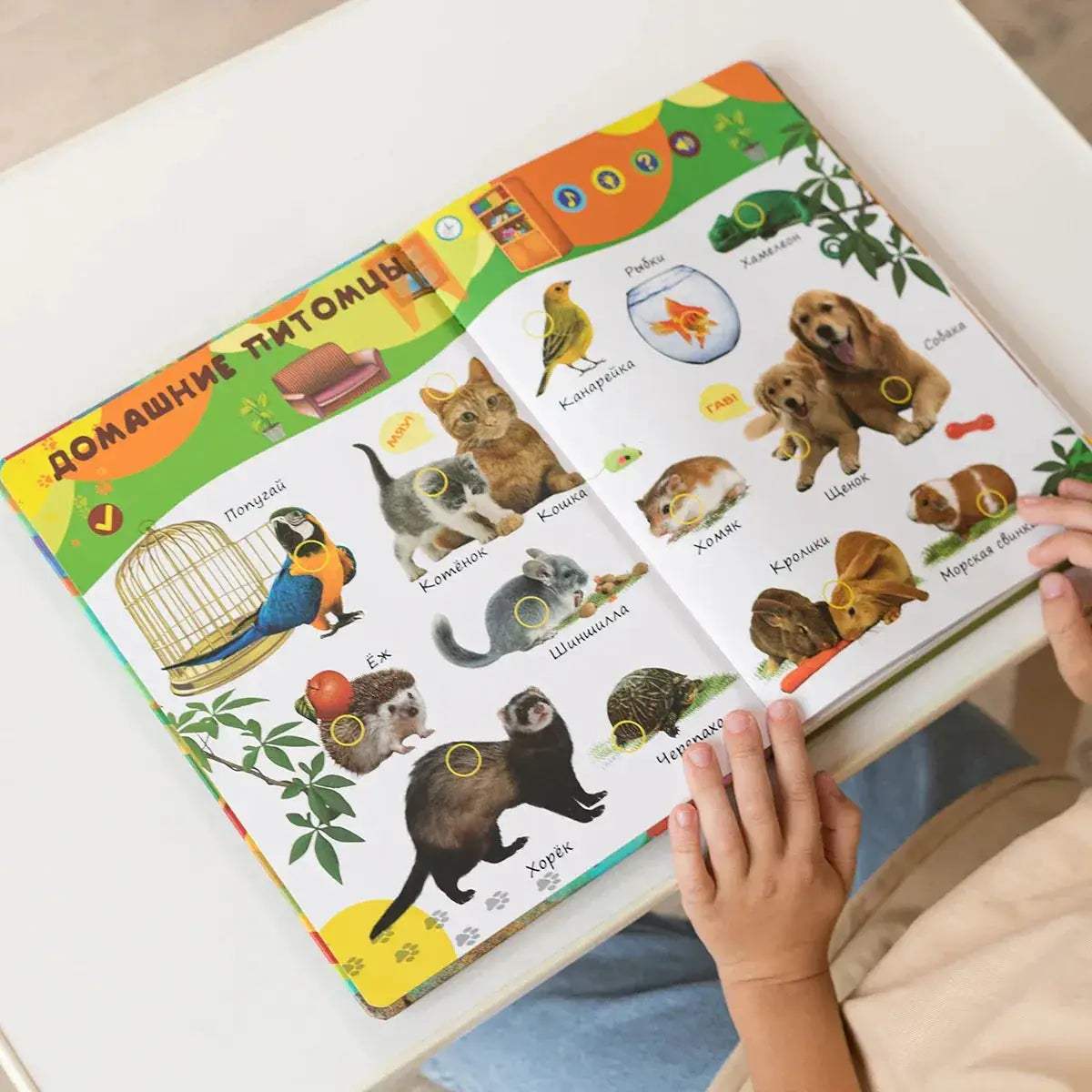 Montessori Educational Talking Books For Kids Learning - ToylandEU