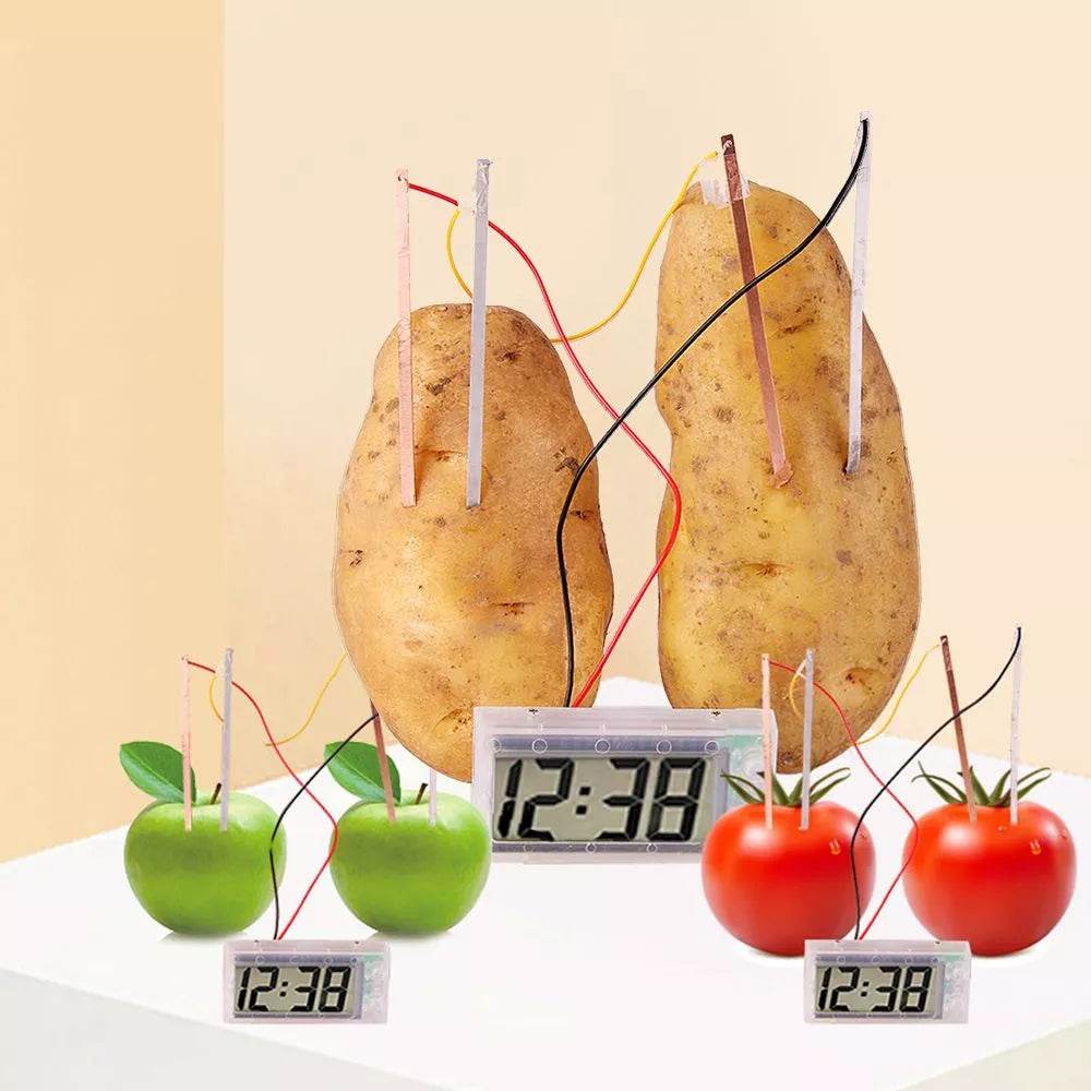 Montessori Fruit & Potato Battery Science Kit - Fun STEM Learning Toy - ToylandEU