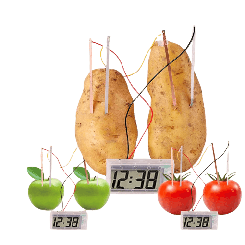 Montessori Fruit & Potato Battery Science Kit - Fun STEM Learning Toy - ToylandEU