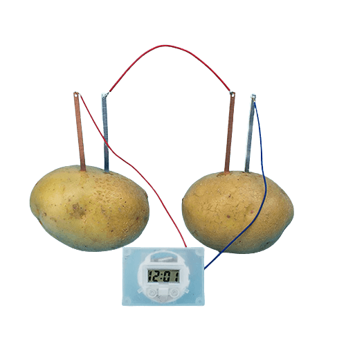 Montessori Fruit & Potato Battery Science Kit - Fun STEM Learning Toy - ToylandEU