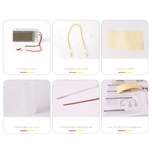 Montessori Fruit & Potato Battery Science Kit - Fun STEM Learning Toy - ToylandEU