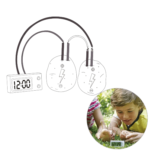 Montessori Fruit & Potato Battery Science Kit - Fun STEM Learning Toy - ToylandEU