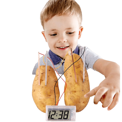 Montessori Fruit & Potato Battery Science Kit - Fun STEM Learning Toy - ToylandEU