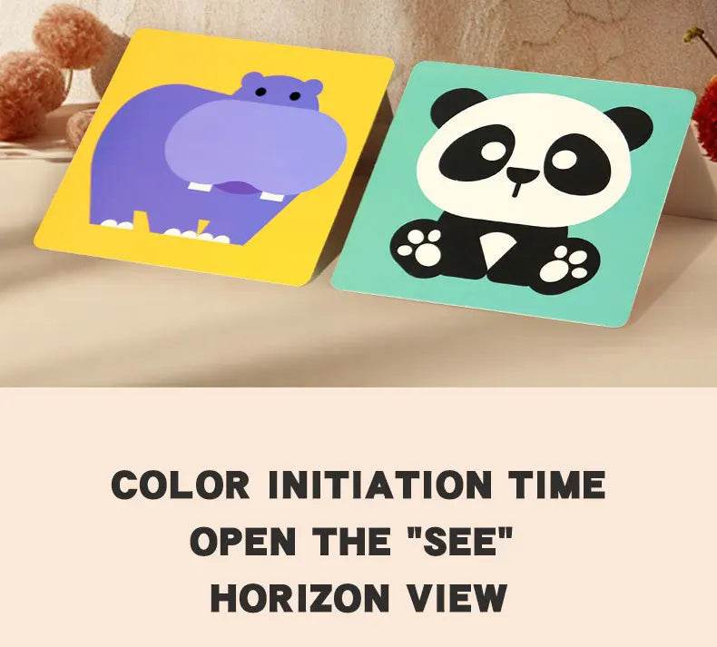 Baby Visual Stimulation Cards Montessori High Contrast Flash Cards for Infant Early Education Learning Toys for Newborn Gifts - ToylandEU