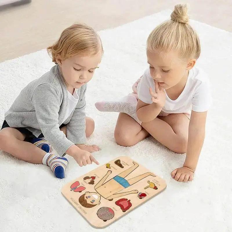  Montessori Human Body Anatomy Puzzle Wooden Toy 0-3 -  ToylandEU™