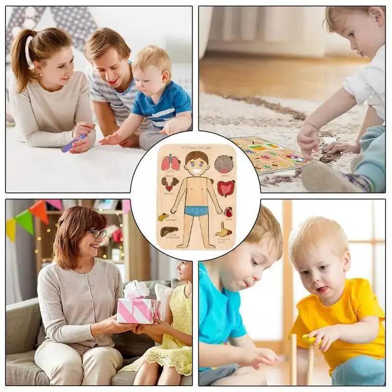  Montessori Human Body Anatomy Puzzle Wooden Toy 0-3 -  ToylandEU™