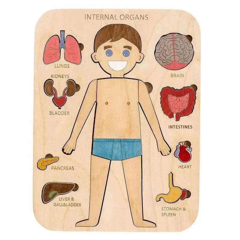  Montessori Human Body Anatomy Puzzle Wooden Toy 0-3 -  ToylandEU™